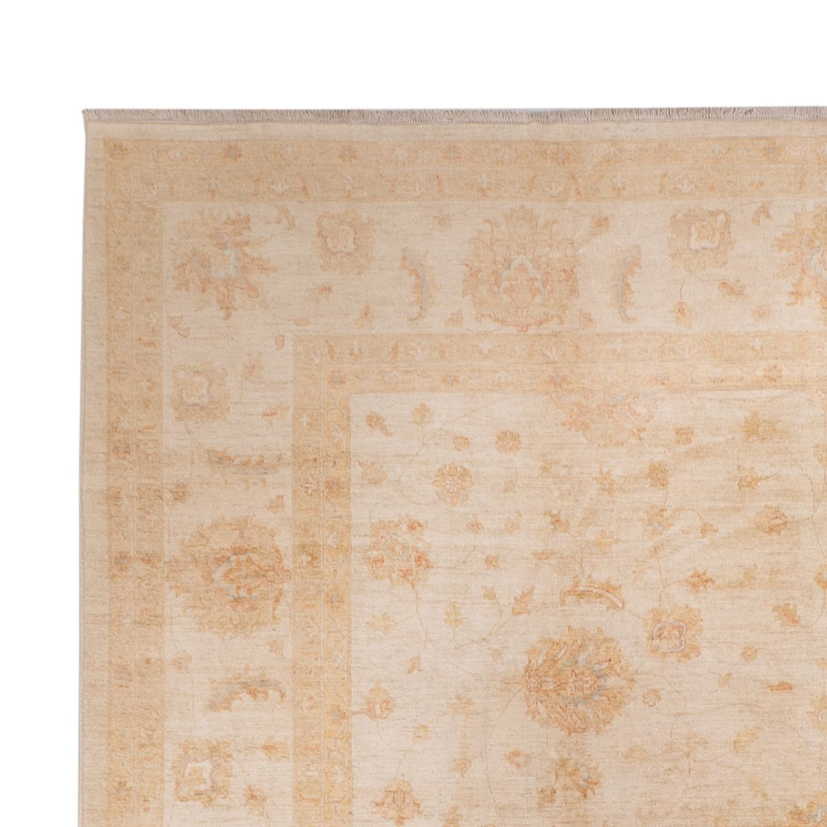 Ziegler Teppich - 541 x 348 cm - beige