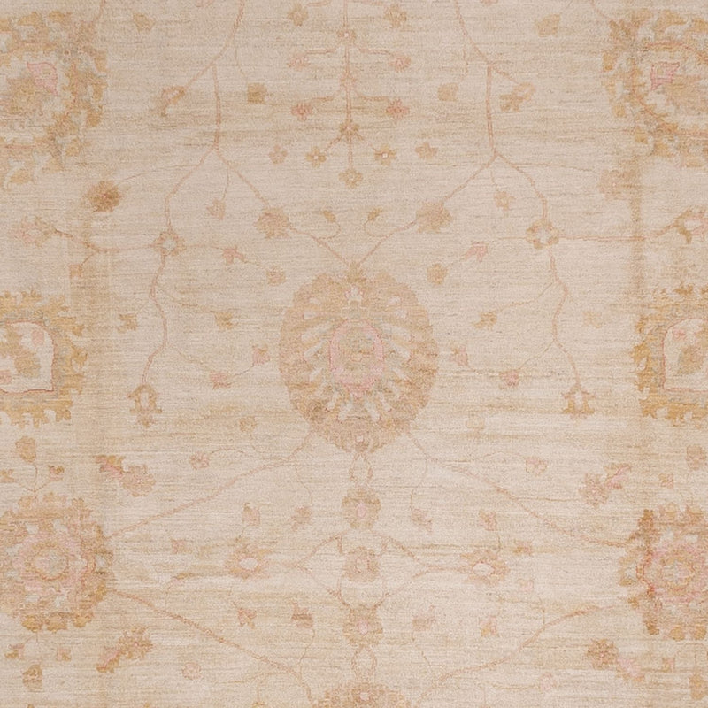 Ziegler Teppich - 543 x 350 cm - beige