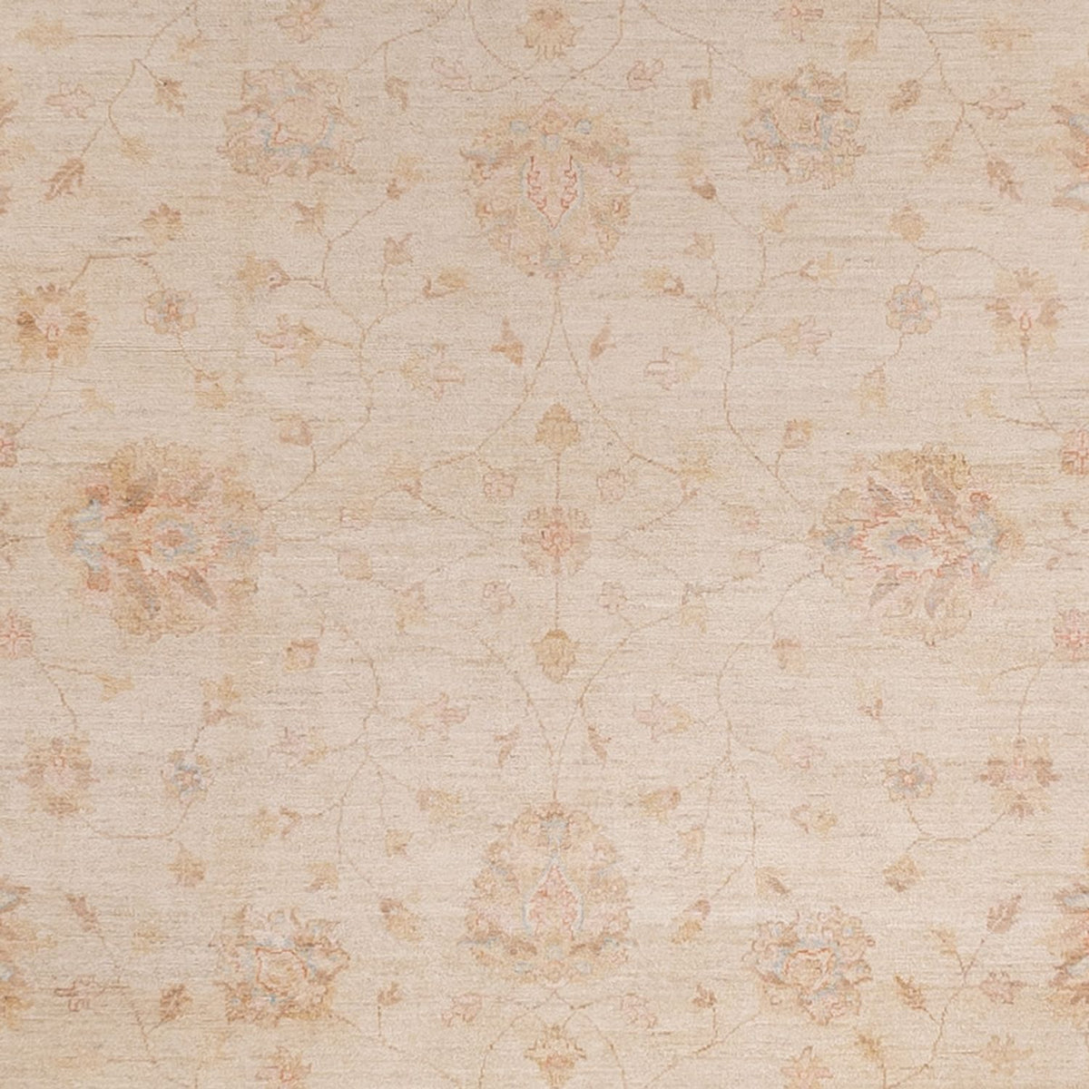 Ziegler Teppich - 487 x 301 cm - beige