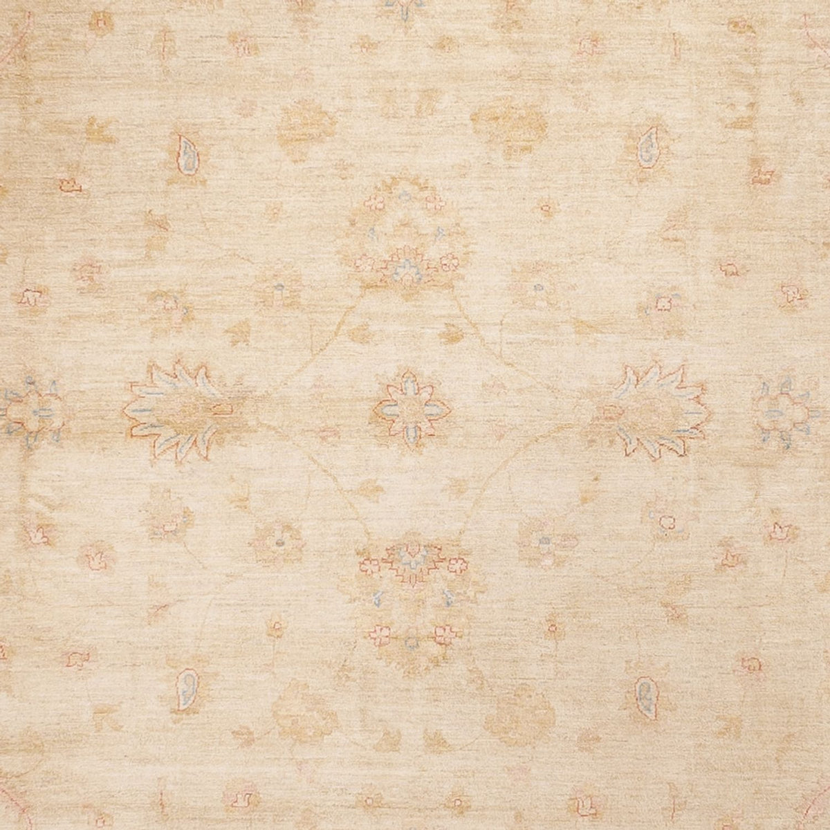 Ziegler Teppich - 488 x 398 cm - beige