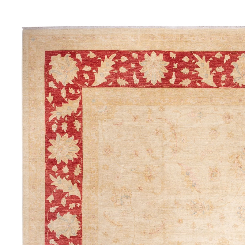 Ziegler Teppich - 488 x 398 cm - beige