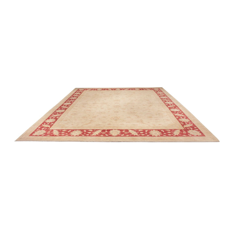 Ziegler Teppich - 488 x 398 cm - beige