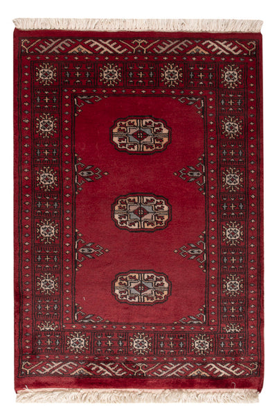 Pakistan Teppich 64x88cm - Orientteppich