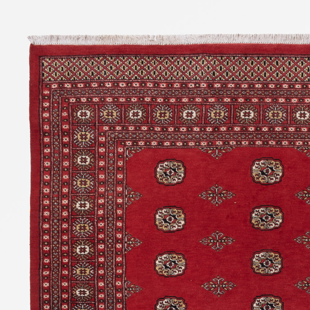 Pakistan Teppich 331x251cm - Orientteppich