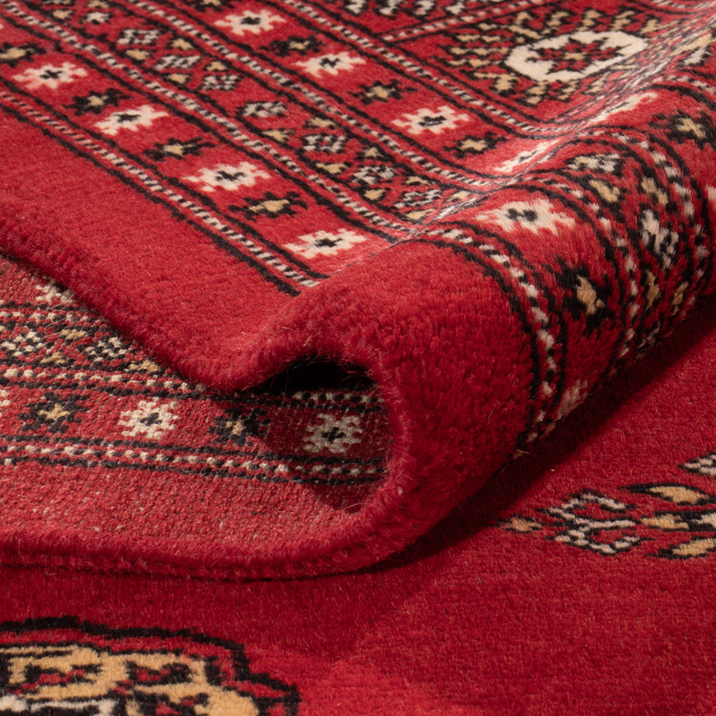 Pakistan Teppich - 331 x 251 cm - rot