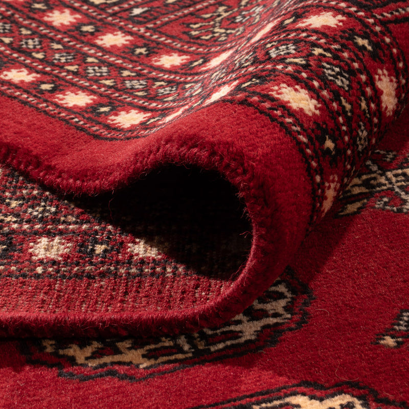 Pakistan Teppich - 318 x 248 cm - rot