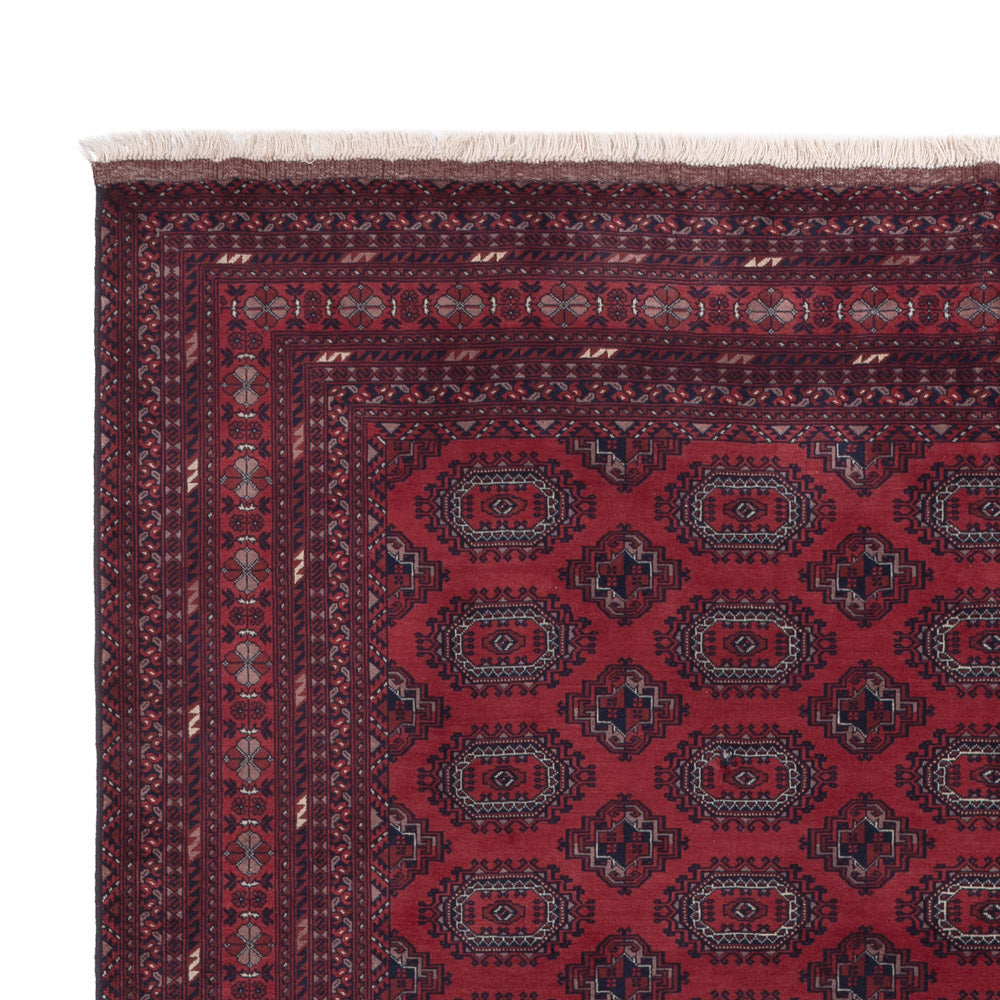 Afghan Teppich 296x200cm - Orientteppich
