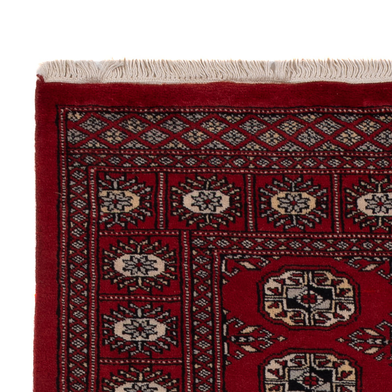 Pakistan Teppich 154x93cm - Orientteppich