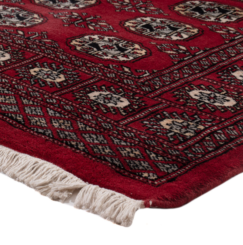 Pakistan Teppich 154x93cm - Orientteppich
