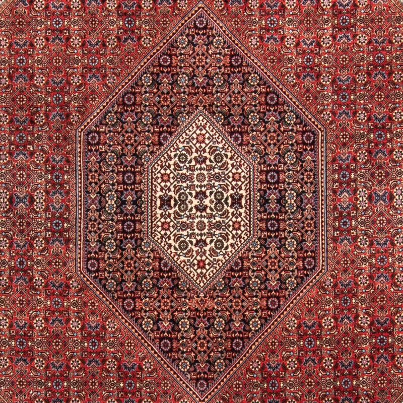 Perserteppich - Bidjar - Royal - 310 x 205 cm - rot