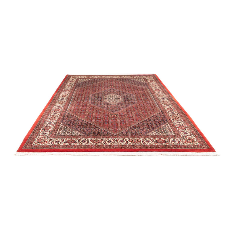Perserteppich - Bidjar - Royal - 310 x 205 cm - rot