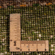 Gabbeh Teppich - Loribaft Perser - 237 x 171 cm - natur