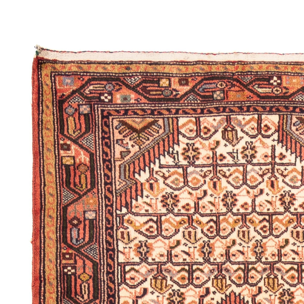 Läufer Perser - Nomadic - 290 x 83 cm - creme