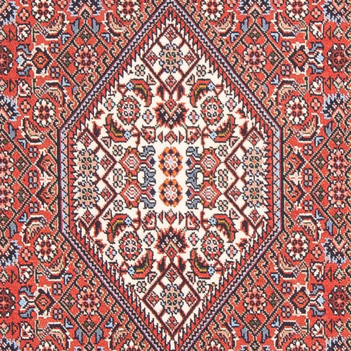 Perserteppich - Bidjar - Royal - 145 x 84 cm - rot