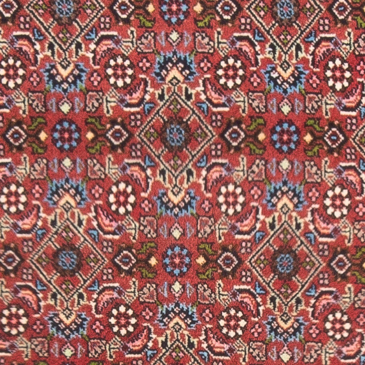 Perserteppich - Bidjar - Royal - 143 x 81 cm - rot