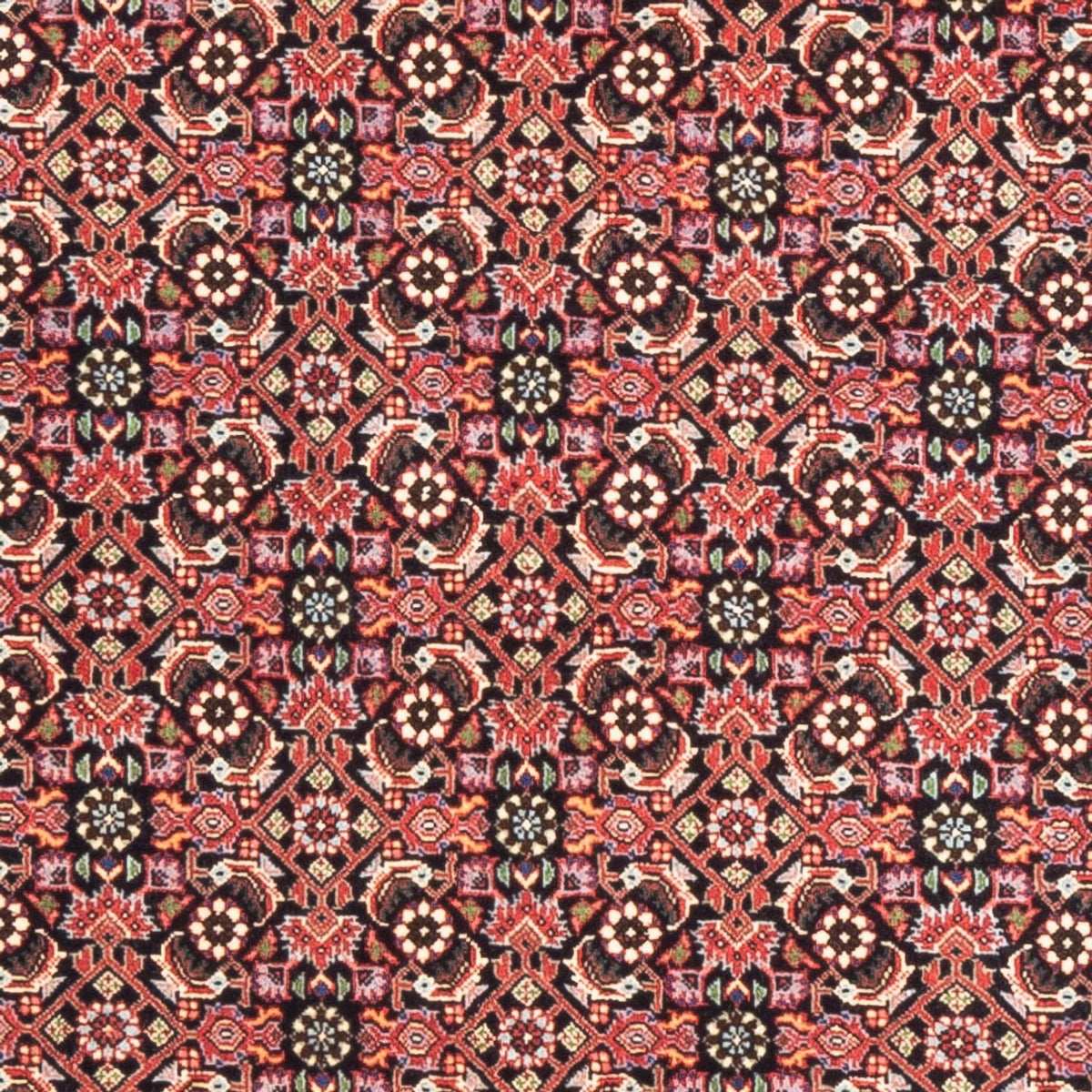 Läufer Perser - Bidjar - 189 x 82 cm - hellrot