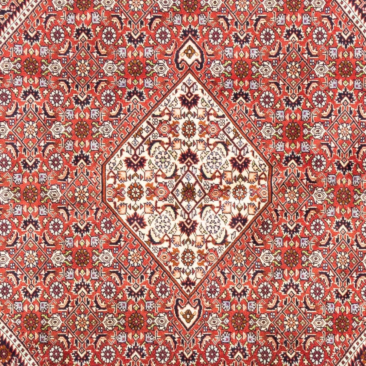 Perserteppich - Bidjar - Royal - 240 x 168 cm - rot