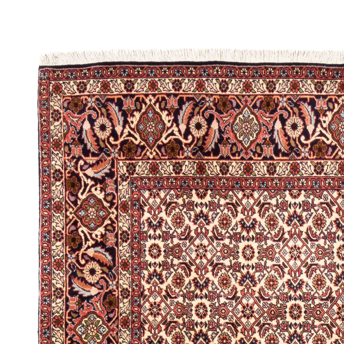 Perserteppich - Bidjar - Royal - 244 x 166 cm - beige