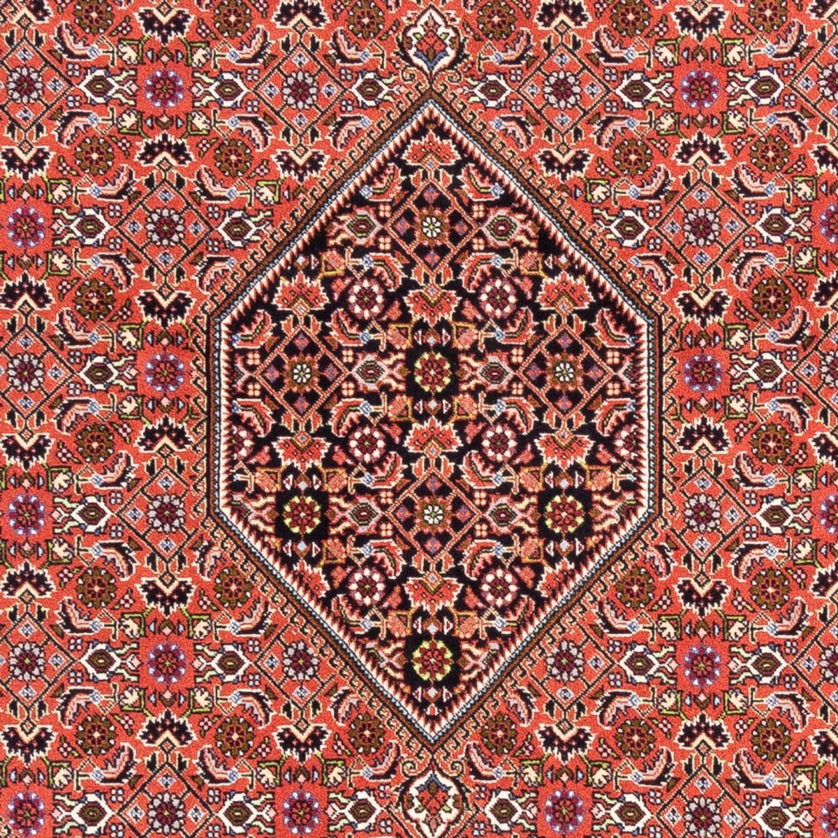 Perserteppich - Bidjar - Royal - 250 x 170 cm - rot