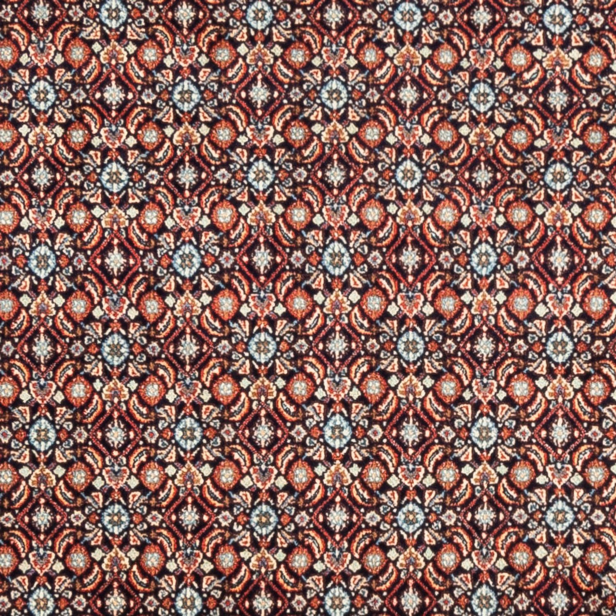 Perserteppich - Classic - 244 x 197 cm - dunkelbeige