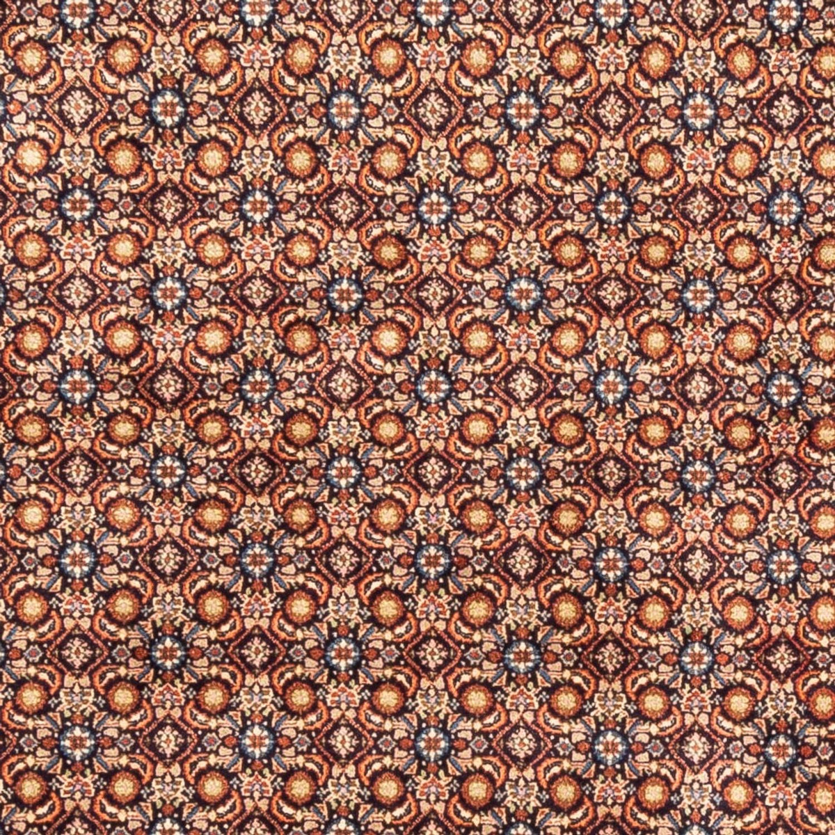 Perserteppich - Classic - 246 x 193 cm - dunkelbeige