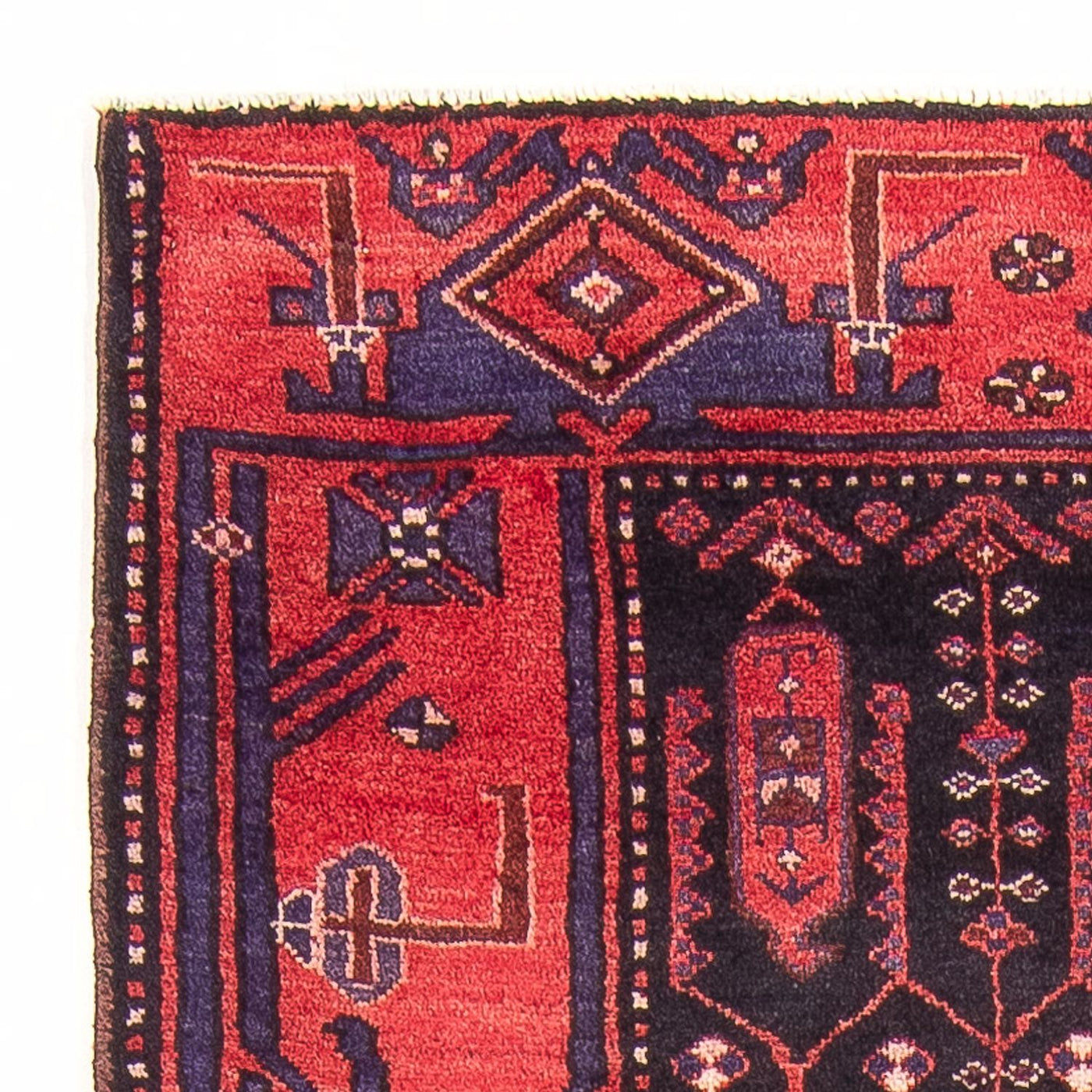 Kolyai Teppich 305x117cm - Perserteppich