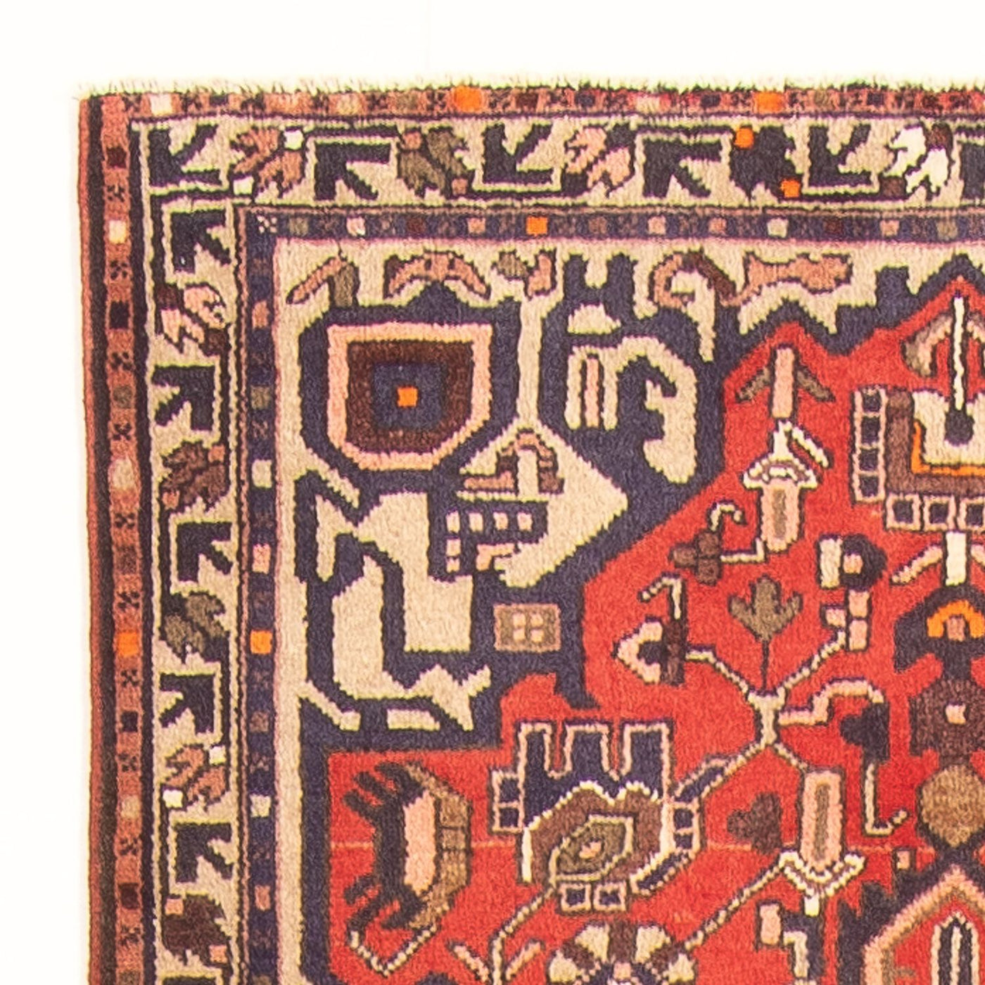 Bidjar - Zanjan Teppich  - Perserteppich