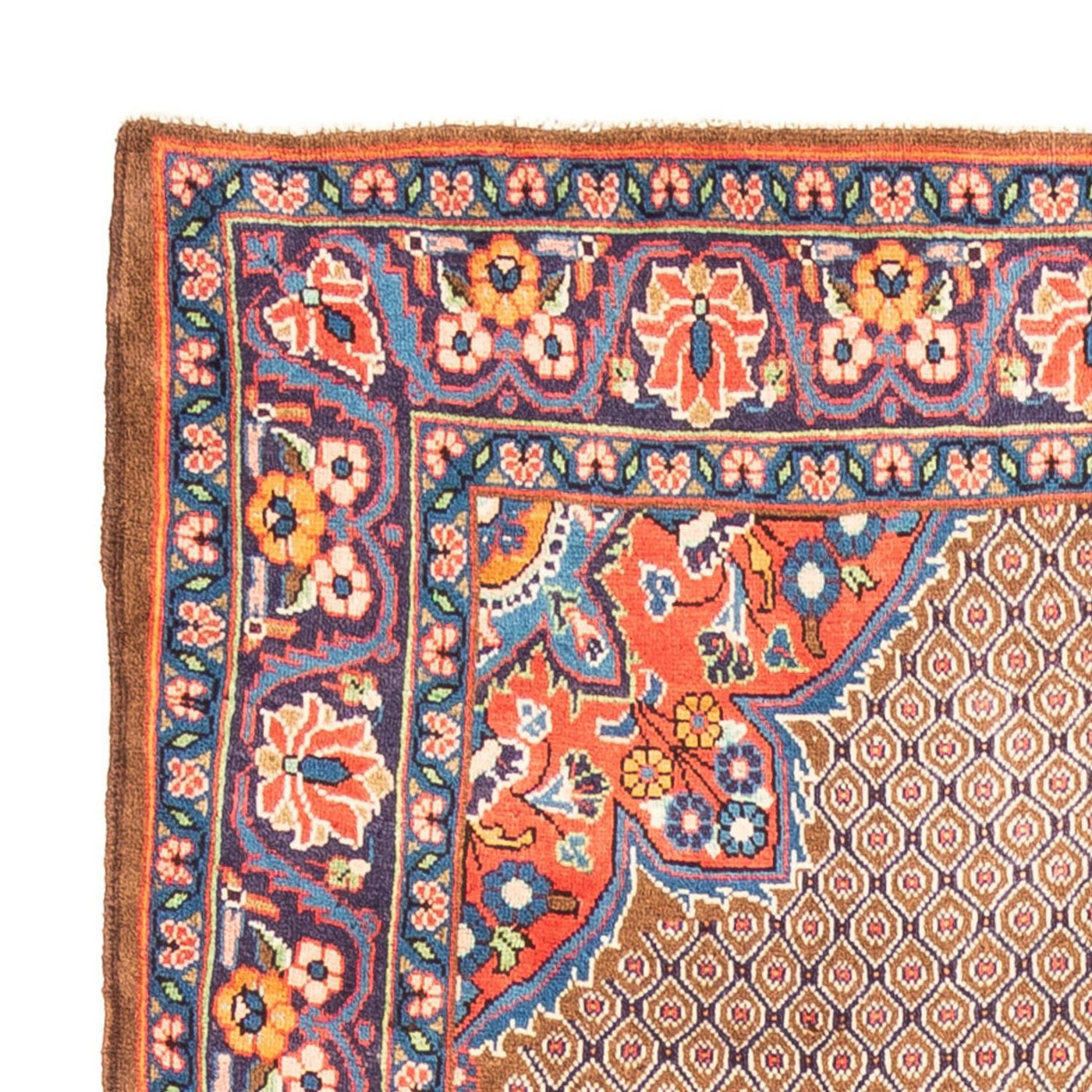Kolyai Teppich 303x160cm - Perserteppich