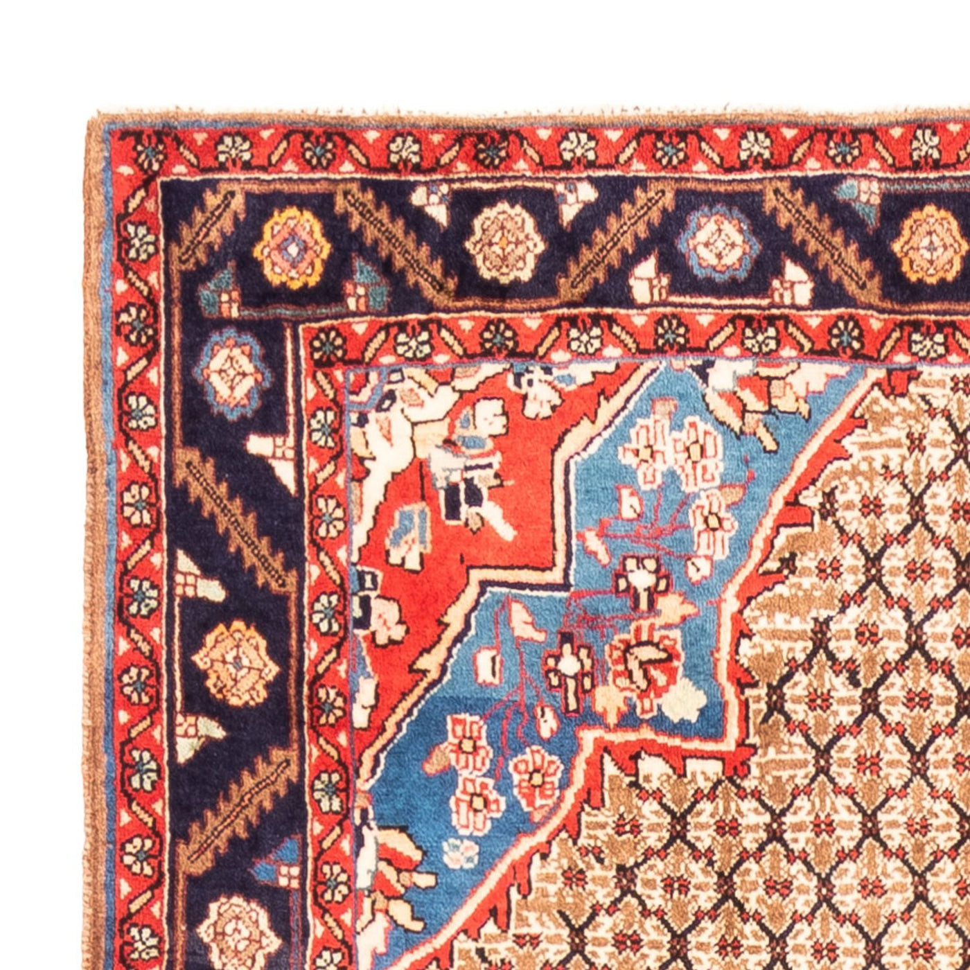 Kolyai Teppich 310x158cm - Perserteppich