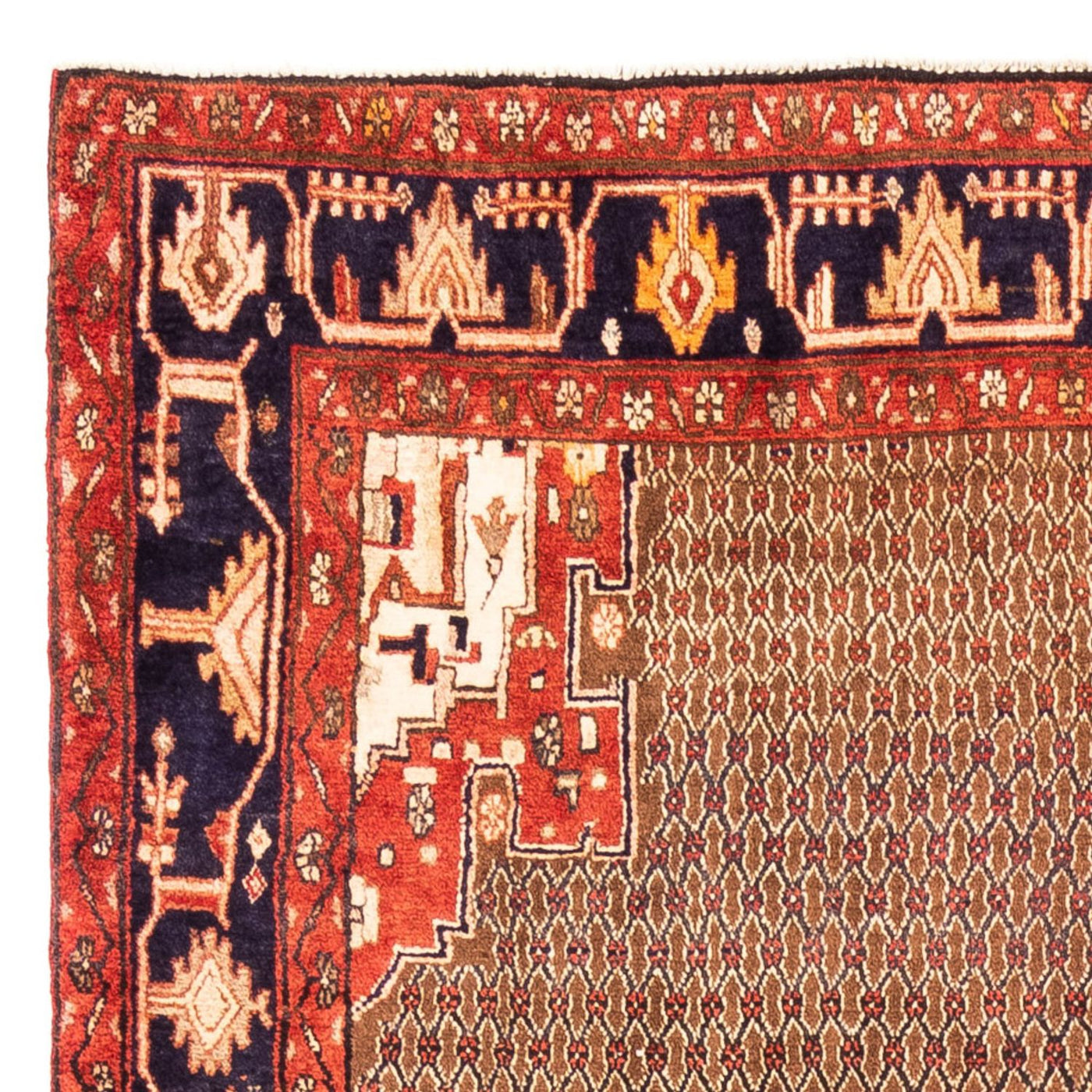 Kolyai Teppich 307x160cm - Perserteppich