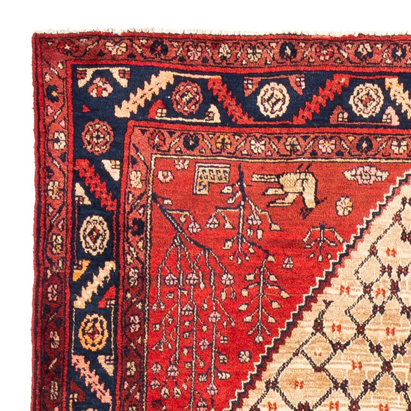 Kolyai Teppich 273x153cm - Perserteppich