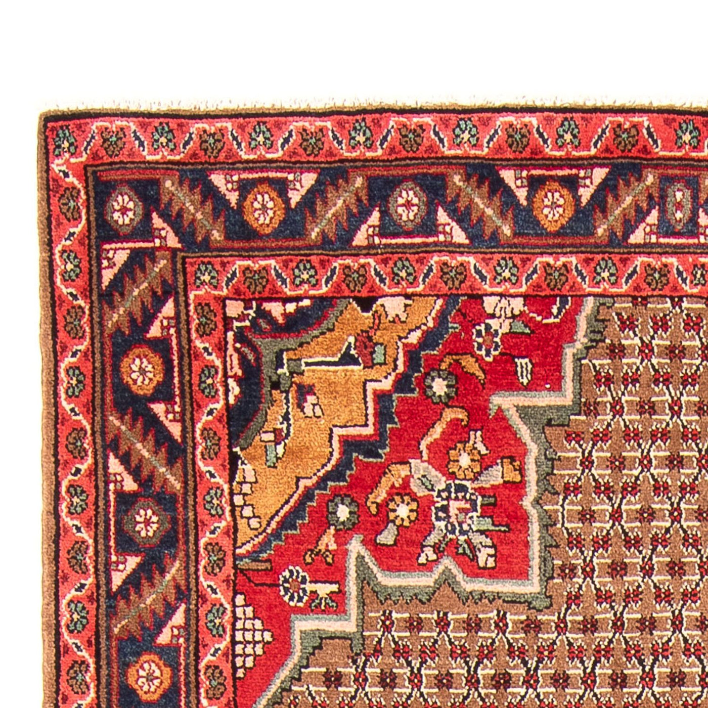 Kolyai Teppich 285x155cm - Perserteppich