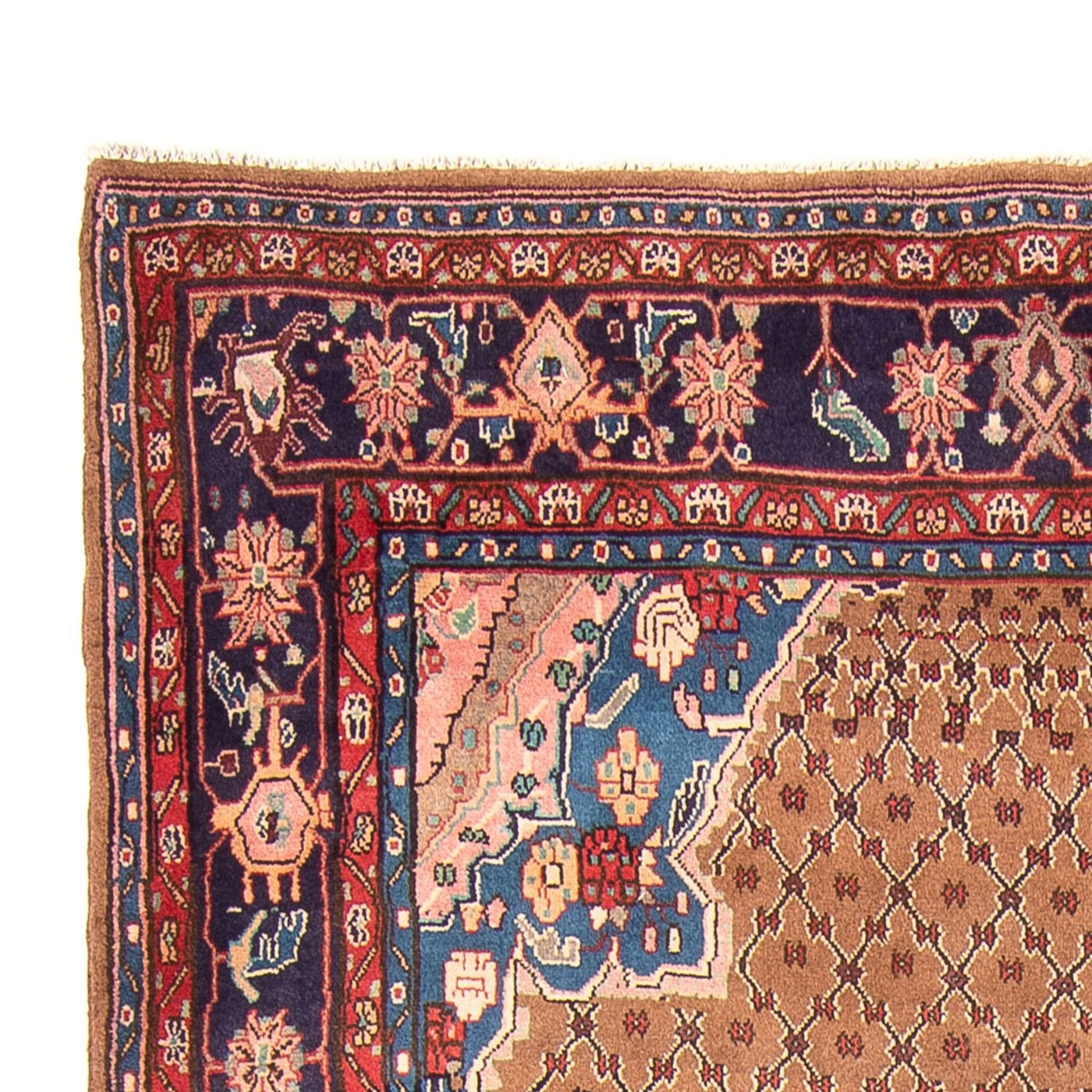 Kolyai Teppich 307x160cm - Perserteppich