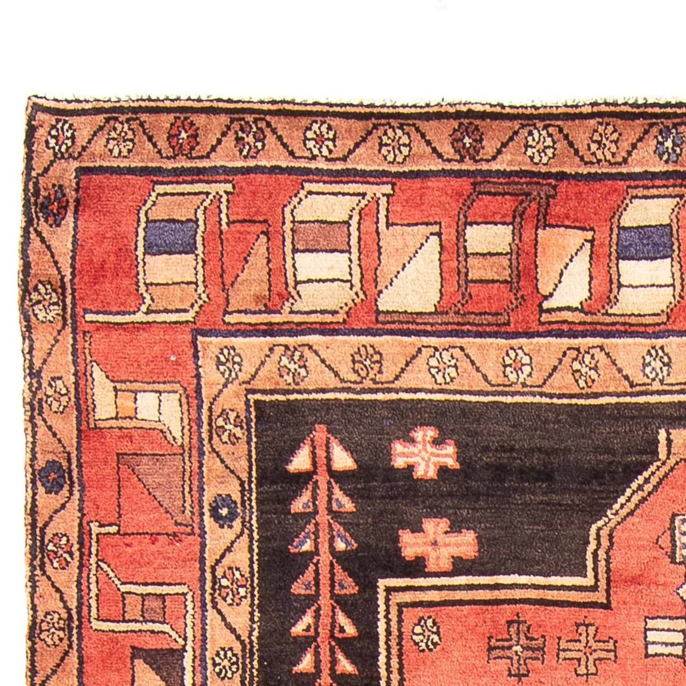 Kolyai Teppich 284x163cm - Perserteppich