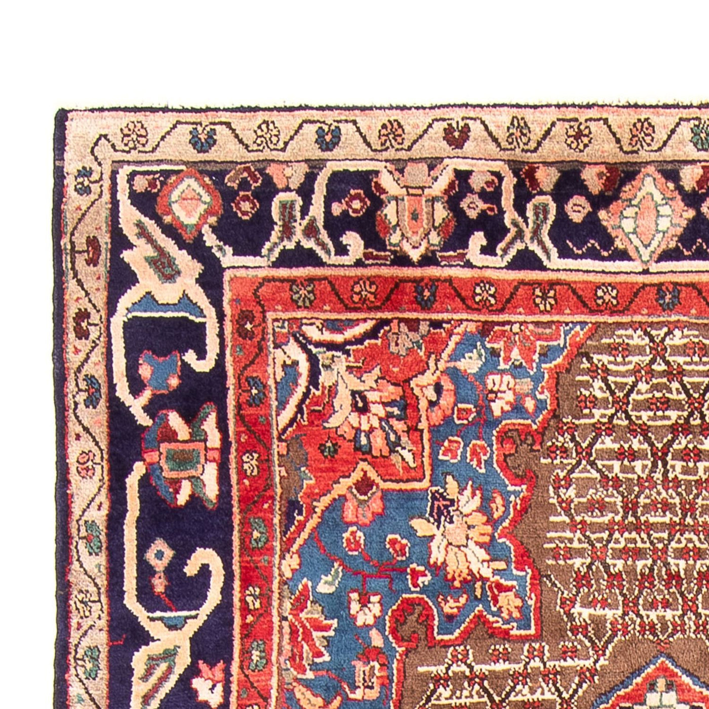 Kolyai Teppich 298x155cm - Perserteppich