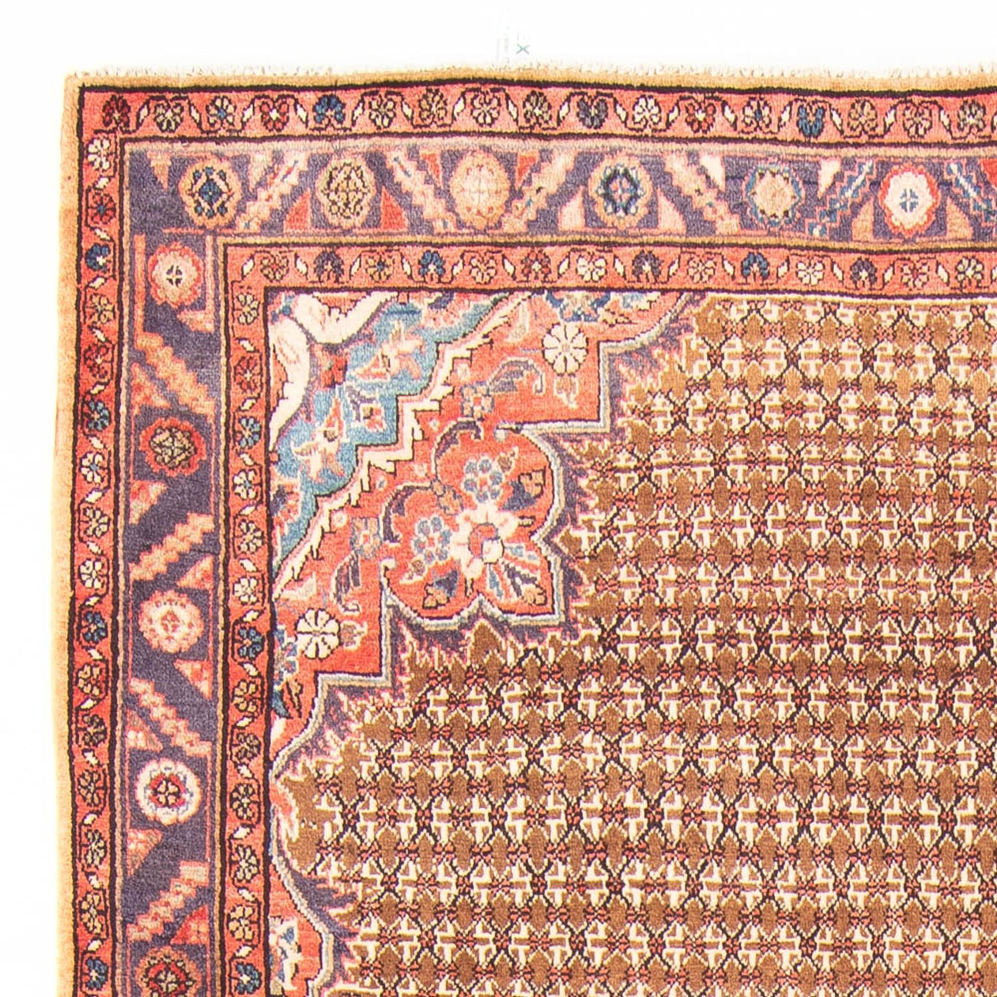 Kolyai Teppich 310x155cm - Perserteppich
