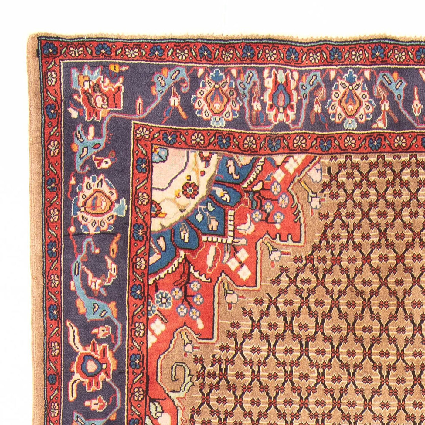 Kolyai Teppich 310x150cm - Perserteppich