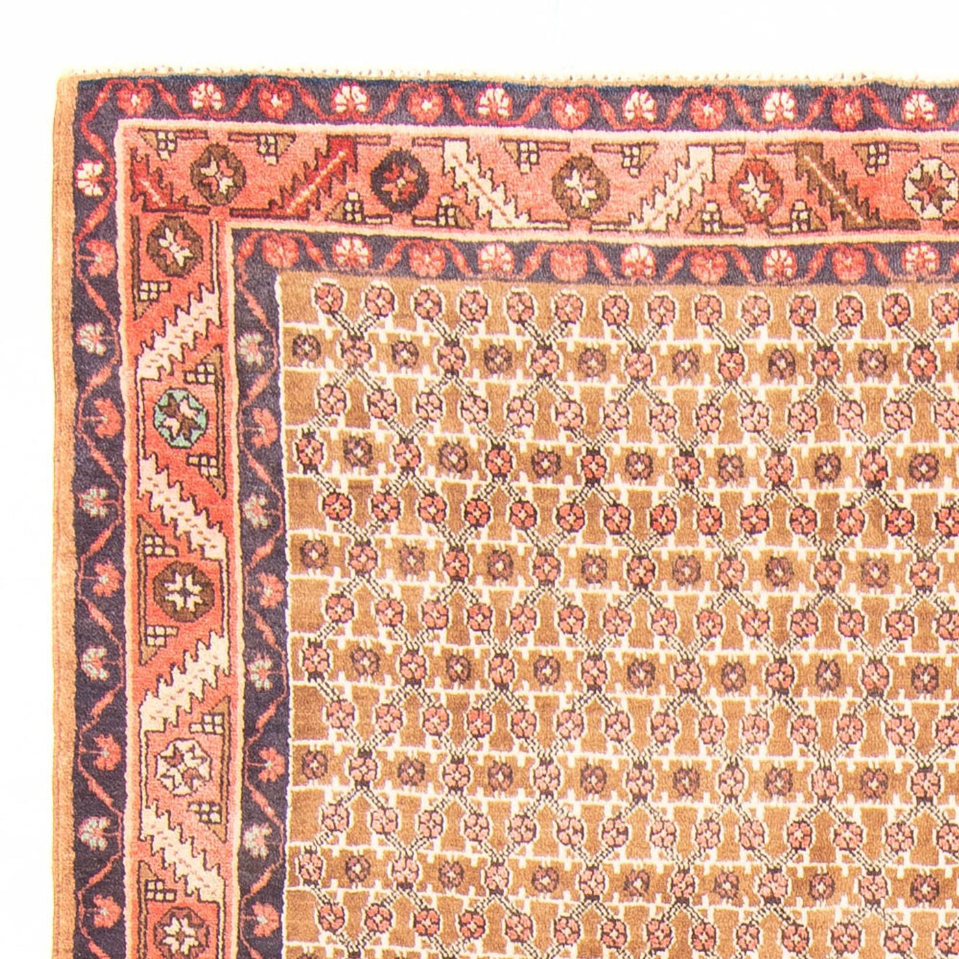 Kolyai Teppich 343x146cm - Perserteppich