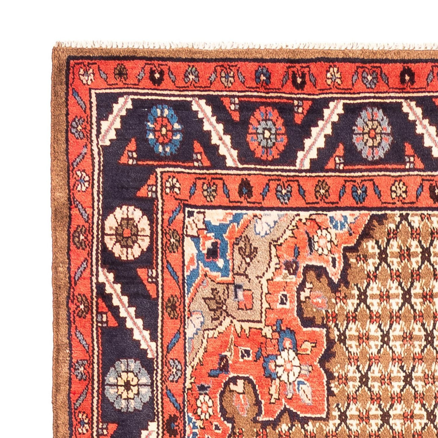 Kolyai Teppich 300x157cm - Perserteppich
