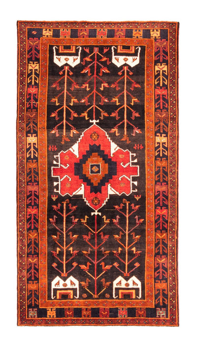 Kolyai Teppich 162x303cm - Perserteppich