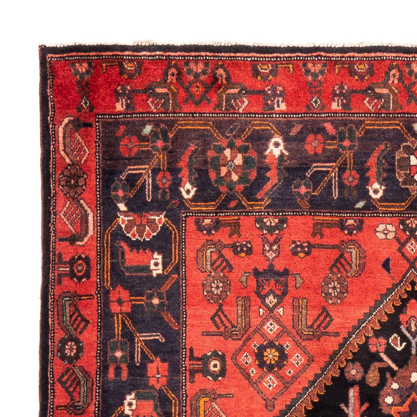 Kolyai Teppich 300x170cm - Perserteppich