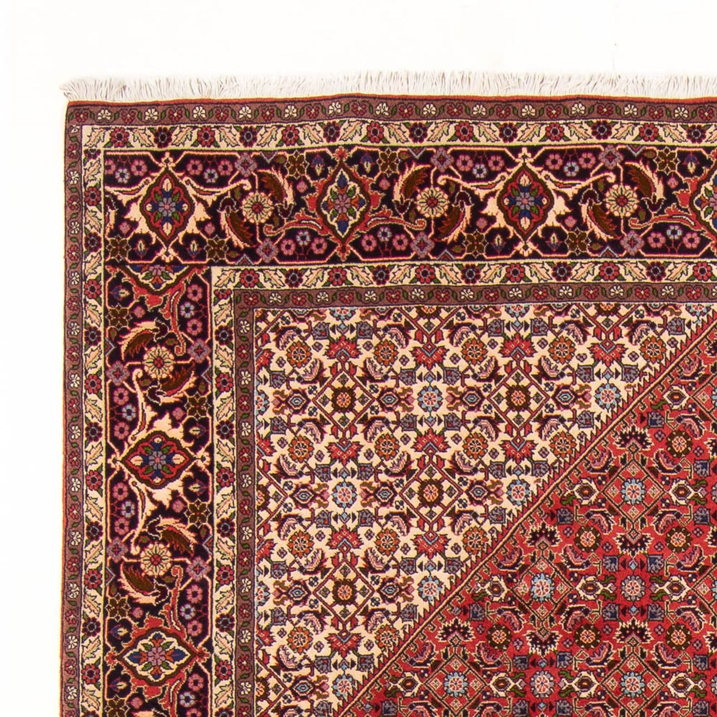 Bidjar - Bukan Teppich 300x200cm - Perserteppich