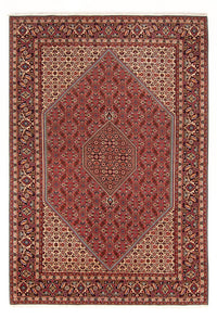 Perserteppich - Bidjar - Royal - 293 x 200 cm - rot