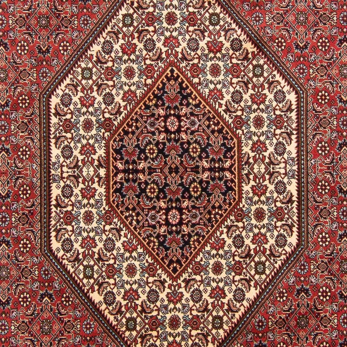 Perserteppich - Bidjar - Royal - 305 x 198 cm - rot