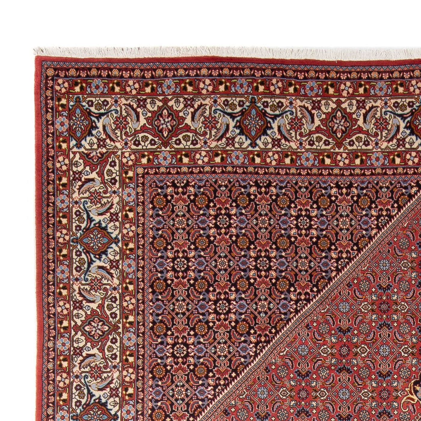 Bidjar - Bukan Teppich 337x250cm - Perserteppich