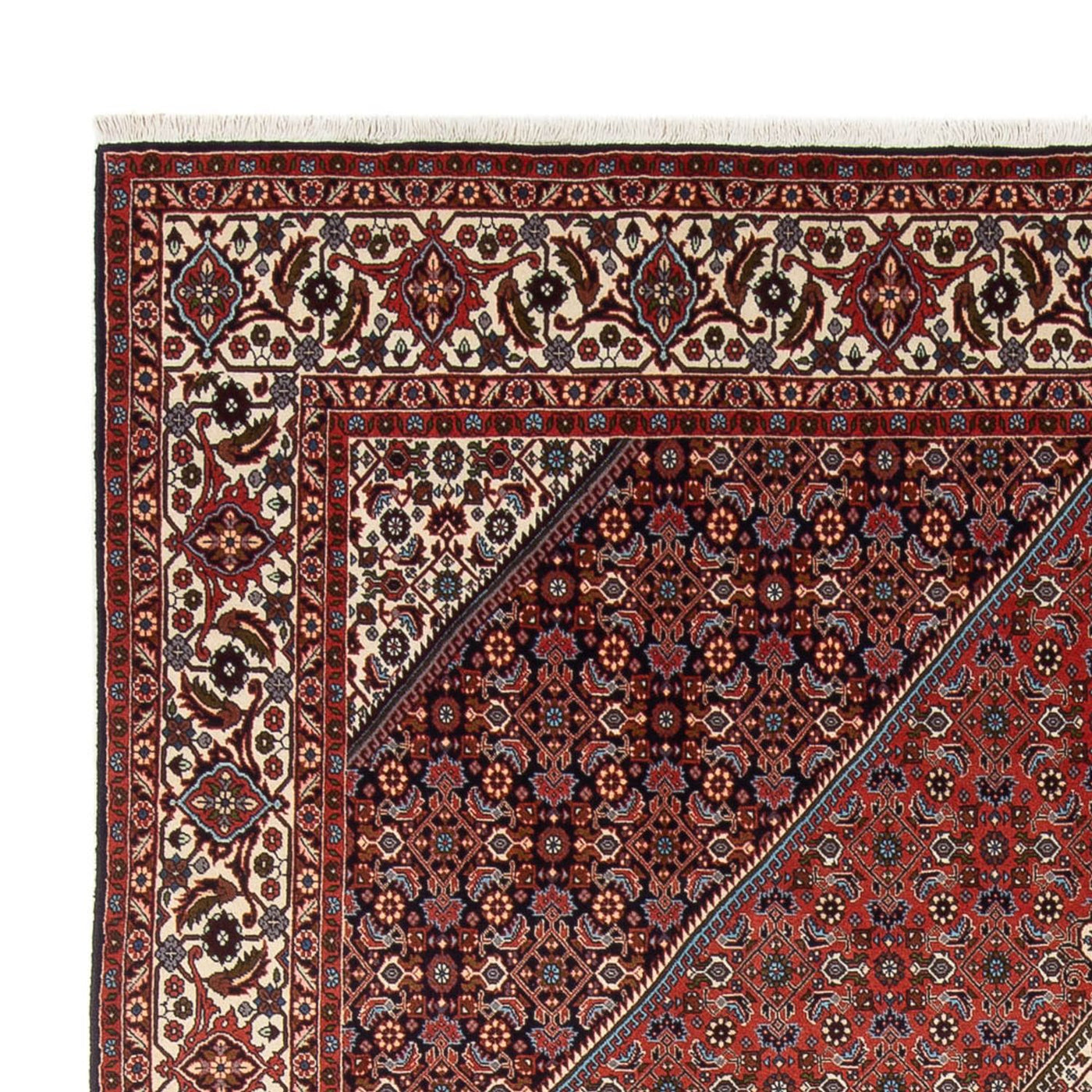 Bidjar - Bukan Teppich 290x243cm - Perserteppich