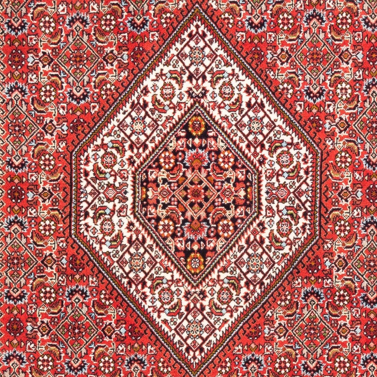 Perserteppich - Bidjar - Royal - 180 x 110 cm - rot