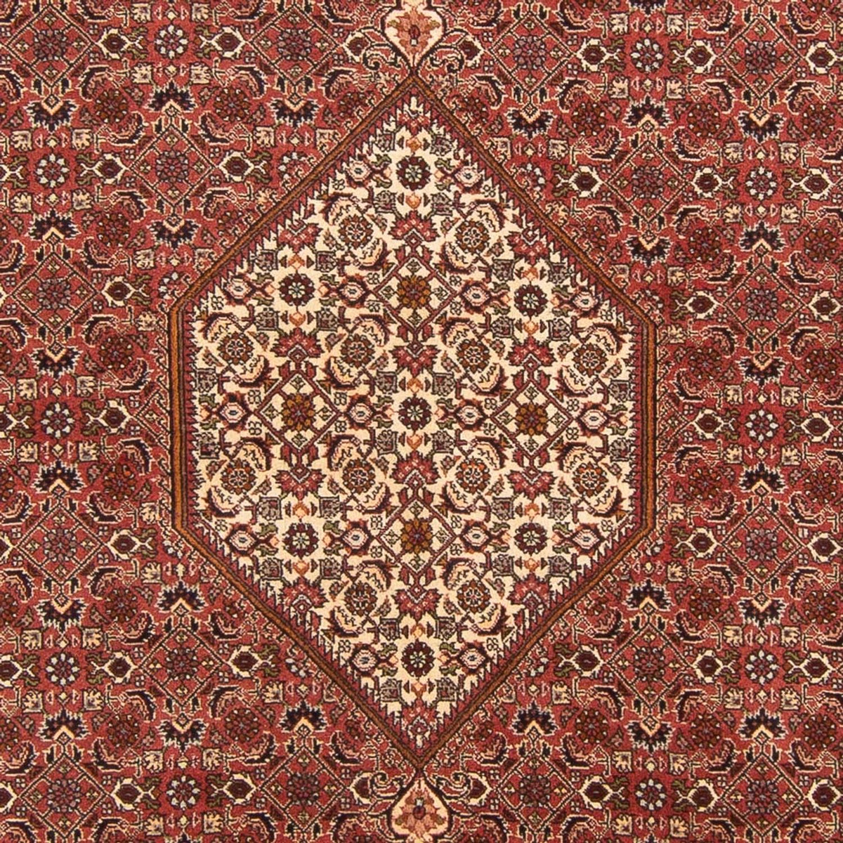 Perserteppich - Bidjar - Royal - 292 x 200 cm - rot