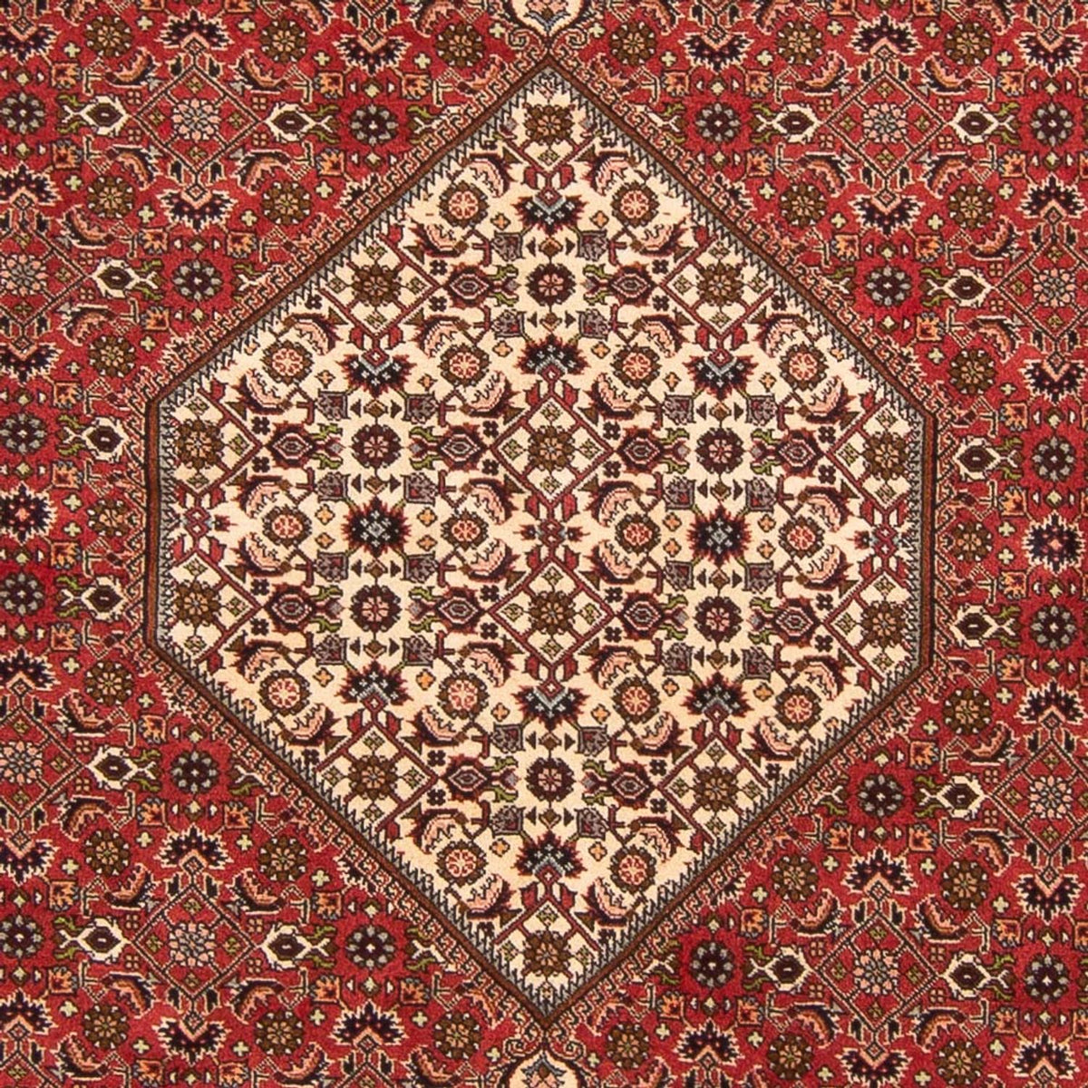 Perserteppich - Bidjar - Royal - 260 x 200 cm - rot