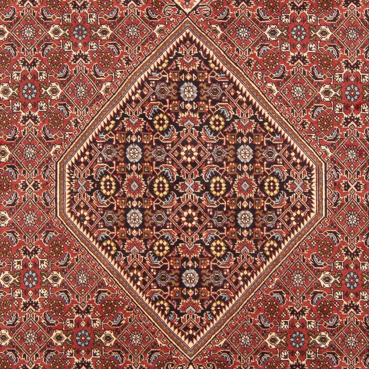 Perserteppich - Bidjar - Royal - 307 x 203 cm - rot